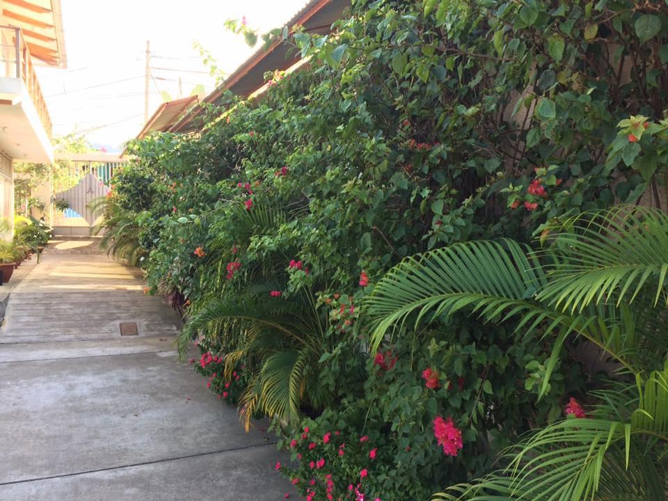 Bed and Breakfast La Casa Del Italiano Tarapoto Esterno foto